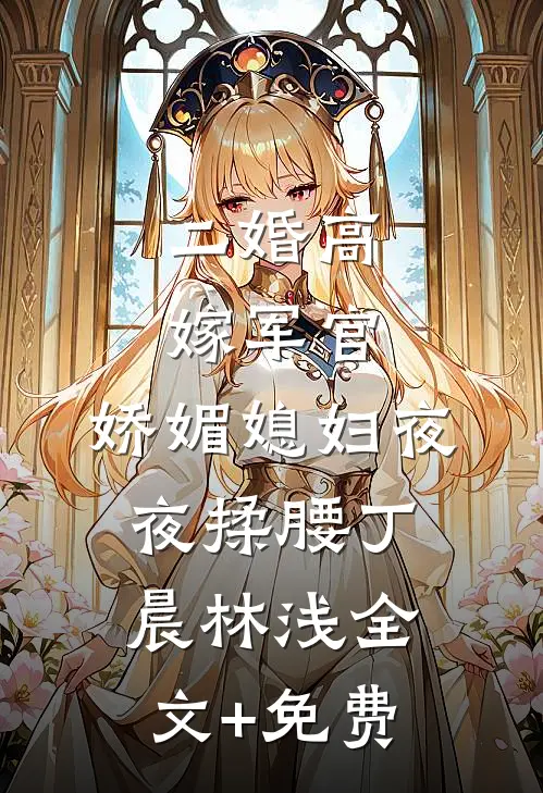 二婚高嫁军官，娇媚媳妇夜夜揉腰丁晨林浅全文+免费