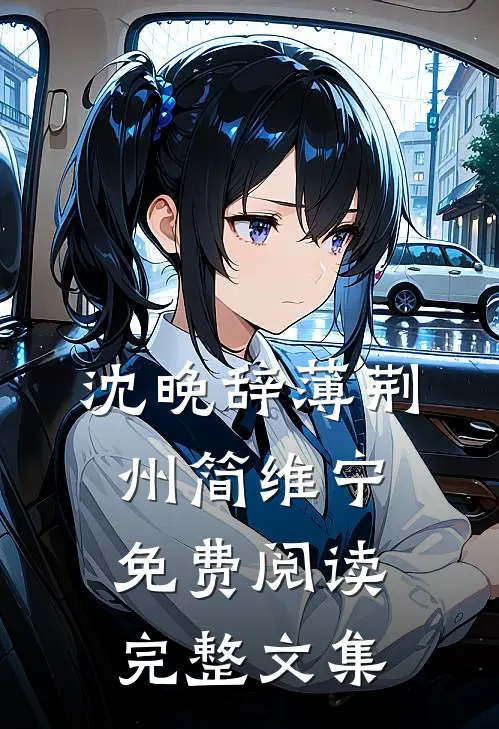 沈晚辞薄荆州简维宁免费阅读完整文集