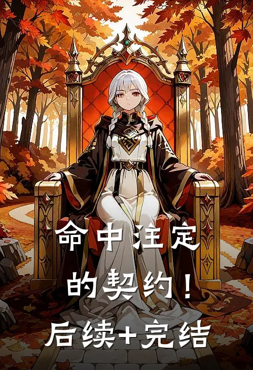 命中注定的契约！后续+完结
