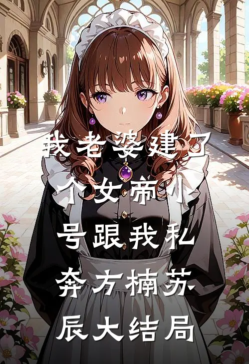我老婆建了个女帝小号跟我私奔方楠苏辰大结局