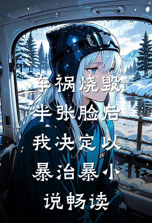 车祸烧毁半张脸后，我决定以暴治暴小说畅读
