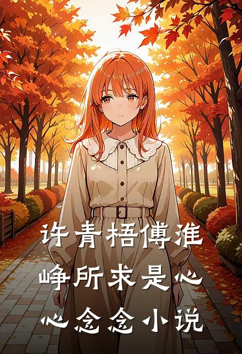 许青梧傅淮峥所求是心心念念小说