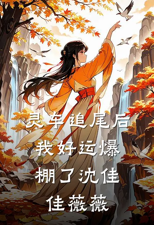 灵车追尾后，我好运爆棚了沈佳佳薇薇