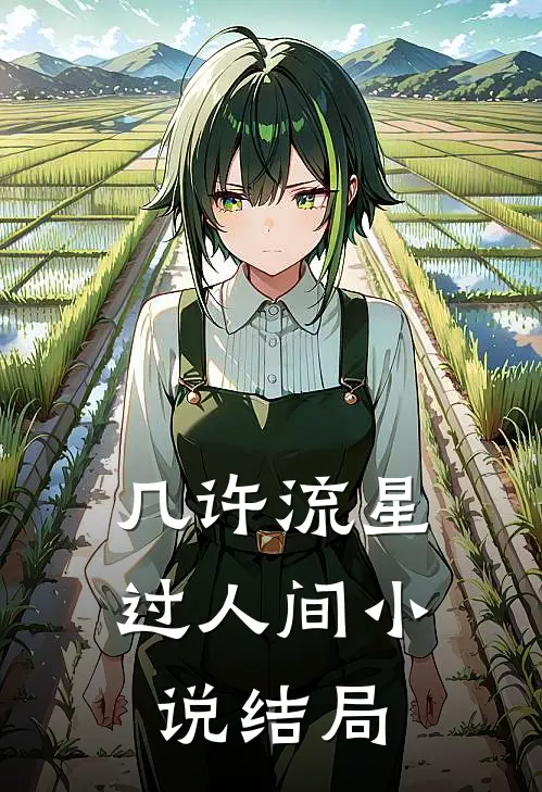 几许流星过人间小说结局