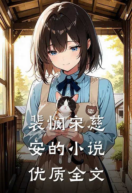 裴悯宋慈安的小说优质全文