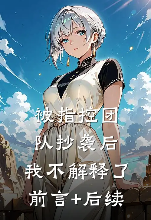被指控团队抄袭后，我不解释了前言+后续