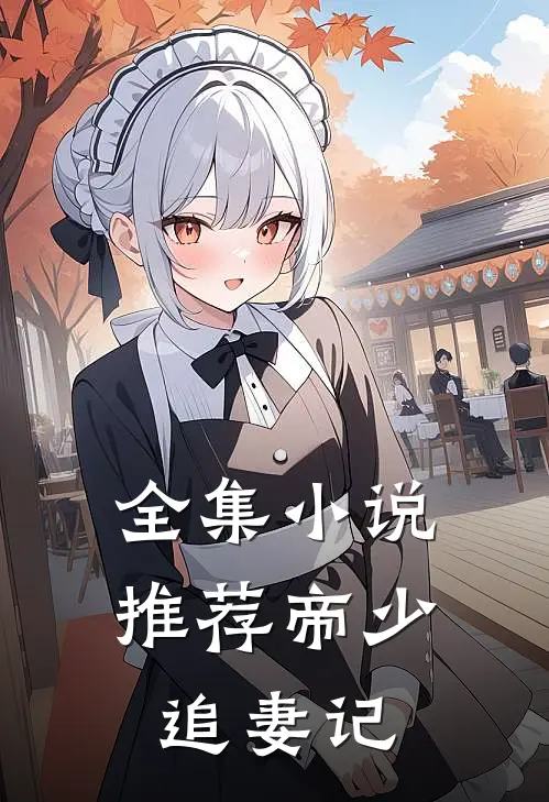 全集小说推荐帝少追妻记