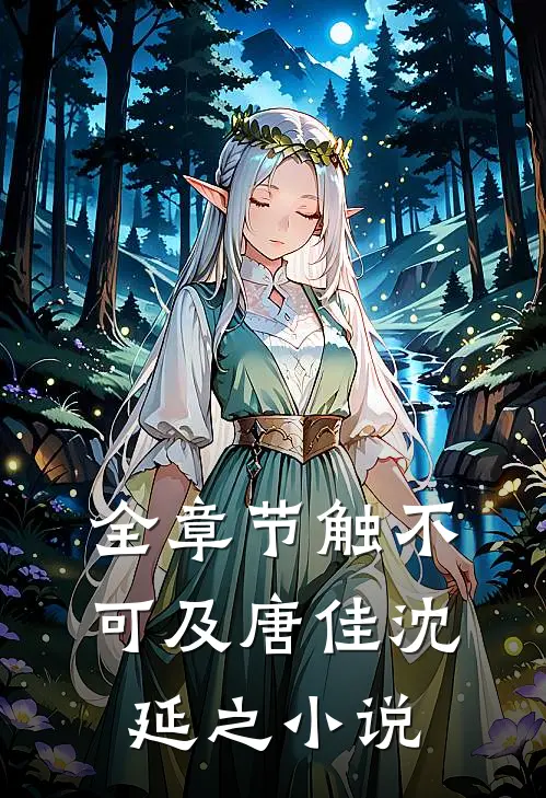 全章节触不可及唐佳沈延之小说