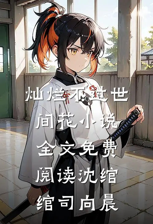 灿烂不过世间花小说全文免费阅读沈绾绾司向晨