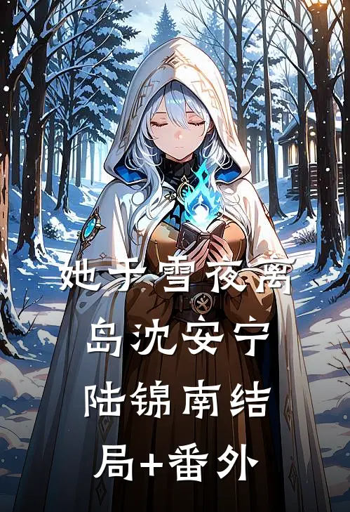 她于雪夜离岛沈安宁陆锦南结局+番外