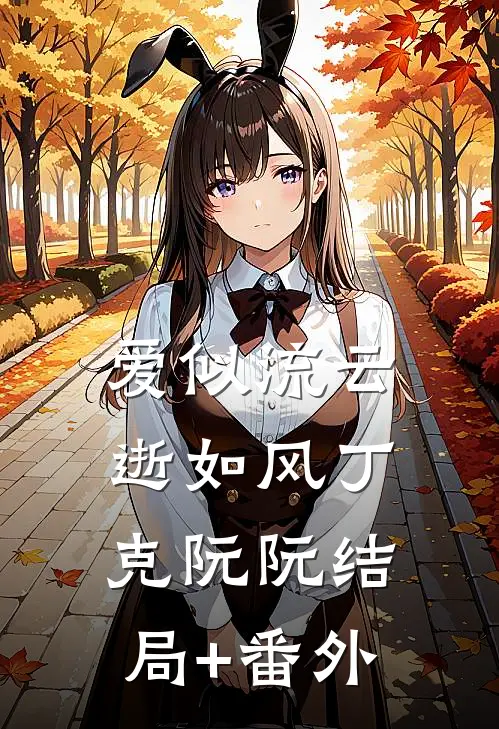 爱似流云逝如风丁克阮阮结局+番外