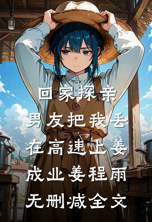 回家探亲，男友把我丢在高速上姜成业姜程雨无删减全文